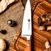 Cuchillo Trento Gourmet 8  Madera Ma250