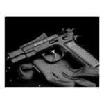 PISTOLA ASG Co2 CZ 75B GBB FM 4.5MM - Imagen 3