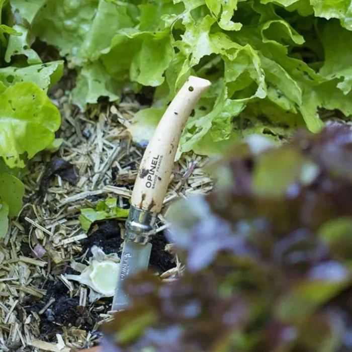 CORTAPLUMAS OPINEL N08 BEECH GARDEN - Imagen 5
