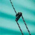 CARPA DOITE SUNTERRA EXR P/4 PERS M15908 - Imagen 3