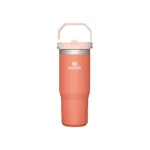Botella Térmica Stanley Flip Straw 887ml – Azul - Imagen 5