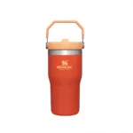 BOTELLA TERMICA STANLEY FLIP STRAW TUMBLER 2.0 591ML TIGERLILY
