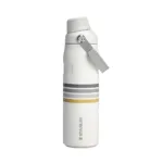 BOTELLA STANLEY ICEFLOW FLIP STRAW 710ML ASH STRIPE