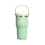 BOTELLA TERMICA STANLEY FLIP STRAW TUMBLER 2.0 591ML PISTACHO