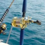 Reel Rotativo Shimano Calcutta 4BB Baitcasting – Dorado - Imagen 3